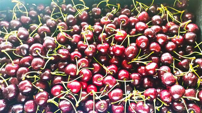 Επιστολή Τζαμτζή για τα κεράσια