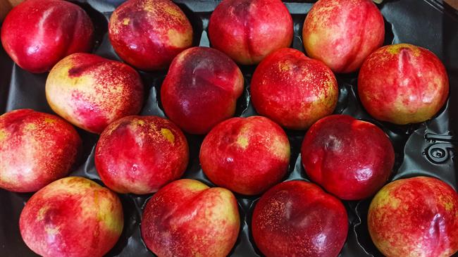 USDA: Συρρικνώνεται η παγκόσμια παραγωγή ροδάκινου το 2020-2021 λόγω καιρικών συνθηκών