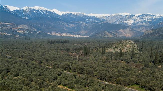 Project ELIADA: Παρακολούθηση της εμφάνισης γλοιοσπορίου