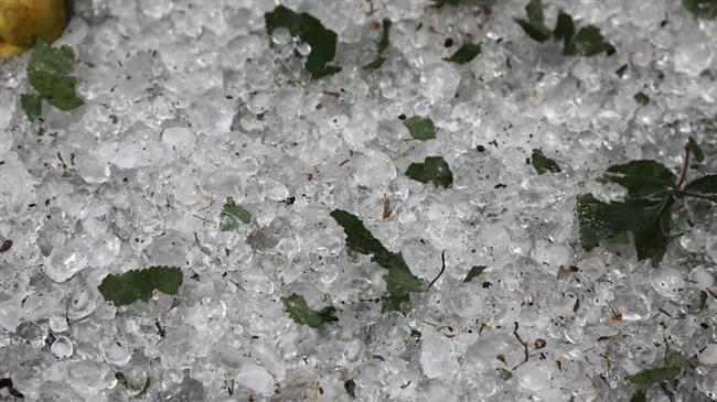 Δήμος Παλαμά: Ζημιές σε καλλιέργειες από χαλαζόπτωση