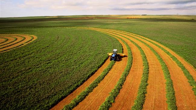 Αναπτυξιακός νόμος: Επενδυτικά σχέδια πρωτογενούς παραγωγής -Μεταποίηση γεωργικών προϊόντων