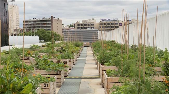 Το μεγαλύτερο αγρόκτημα στην ταράτσα της Ευρώπης μεγαλώνει ξανά