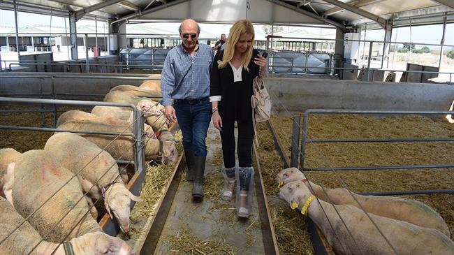 Φ. Αραμπατζή: Με 21% «τρέχουν» το 1ο τετράμηνο του 2020 οι εξαγωγές τροφίμων