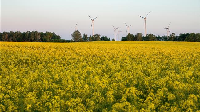 Amazon: Νέες επένδυσεις σε ανανεώσιμες πηγές ενέργειας στην Ελλάδα