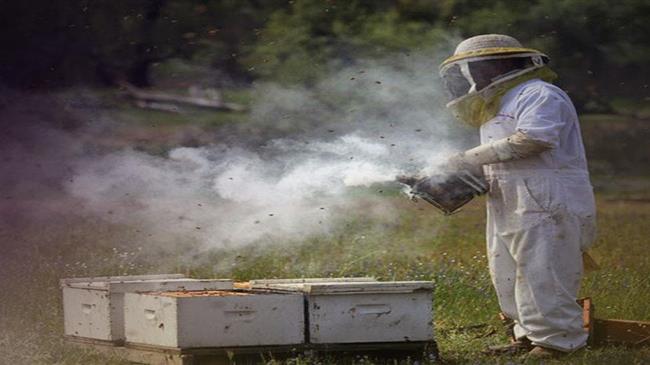 Γιάνους Βοϊτσεχόφσκι: Πως μπορεί η Ελλάδα να βοηθήσει τους μελισσοκόμους στην Εύβοια