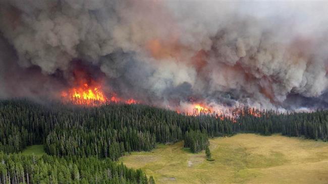 Μικρή η μείωση στις δασικές πυρκαγιές στη Σιβηρία