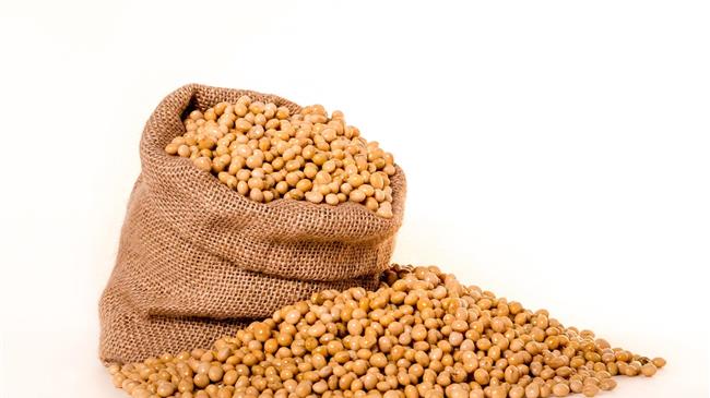 Σόγια: Αυξημένες εξαγωγές από τη Βραζιλία