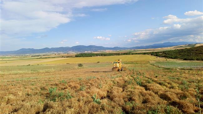 Οι Φακές Βουζίου ως πρότυπο αγροτικής ανάπτυξης