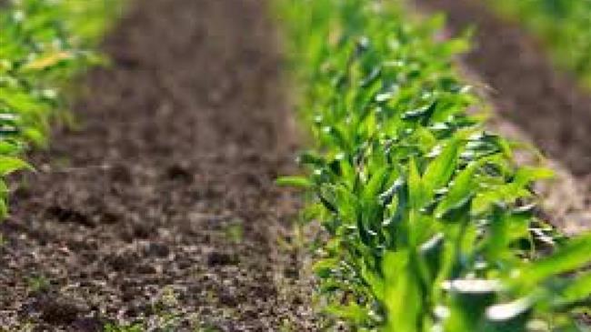 Παράταση προθεσμίας για απαλλαγή φόρου σε συμβάσεις συμβολαιακής γεωργίας