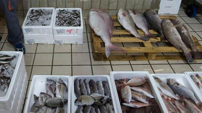 Κατασχέθηκαν πάνω από 100 κιλά ψάρια -Κέφαλοι, τσιπούρες