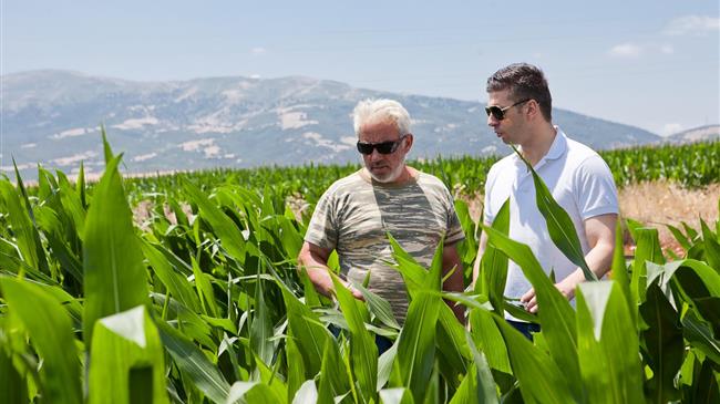 Θ. Παιδής: Μεγάλες καταστροφές από τις επιδρομές αγριογούρουνων σε καλλιέργειες