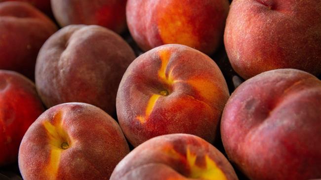 Κοζάνη: Θύματα της «Θάλειας» έπεσαν ροδακινοπαραγωγοί