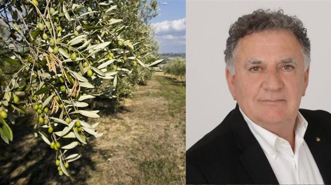 Ηράκλειο: Αίτημα για πρόσθετη χρηματοδότηση του προγράμματος δακοκτονίας