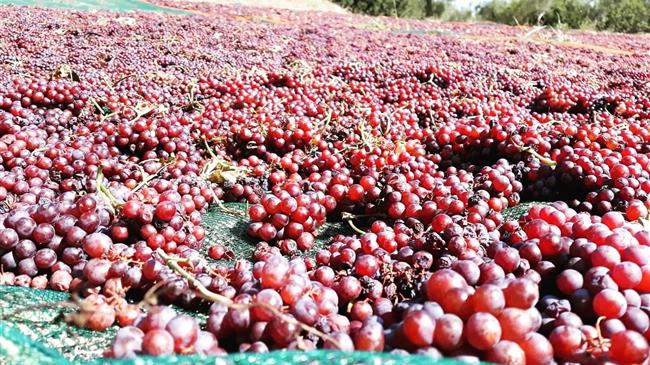 Θλίψη και οργή για το επερχόμενο τέλος της ελληνικής υπερτραφής –έστω και τώρα να δοθεί λύση