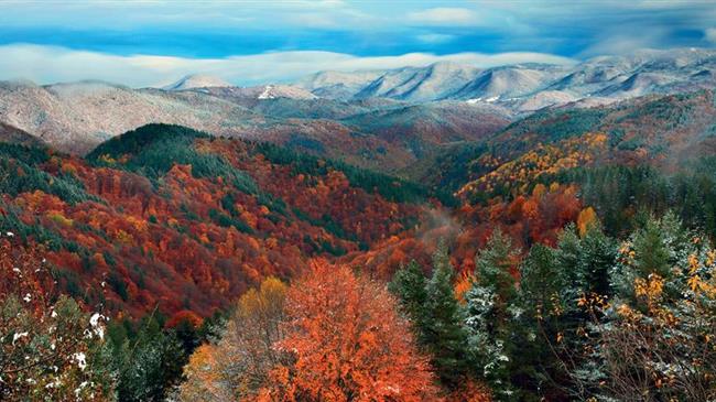 Παρθένο Δάσος Φρακτού: Φάκελος ένταξης στην UNESCO