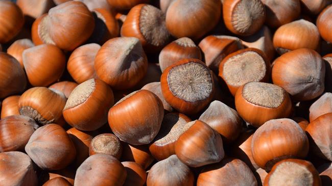 Τουρκία: Αύξηση στις εξαγωγές φουντουκιού