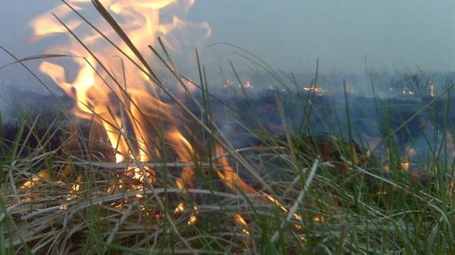 Λάρισα: Απαγόρευση καύσης φυτικών υπολειμμάτων καλλιεργειών