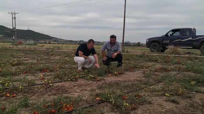 Αυτοψία Κόκκαλη στις χαλαζόπληκτες περιοχές των Φαρσάλων