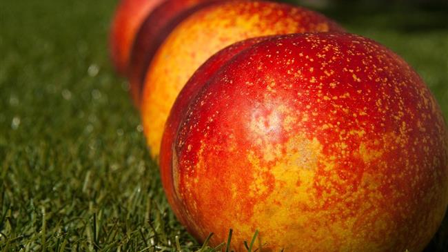 Διαμαρτυρία ροδακινοπαραγωγών για τη χαμηλή τιμή πώλησης