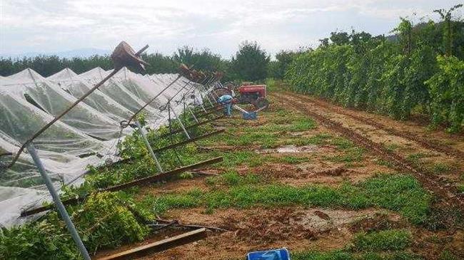 Ηλεία: Χωρίς κρατική αρωγή οι επιχειρήσεις από τους ισχυρούς ανέμους