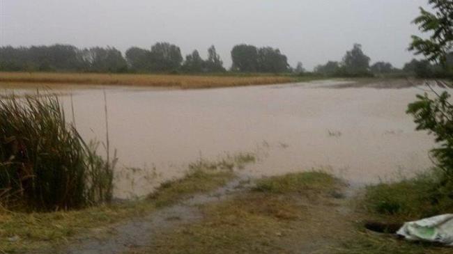 Δήμος Καρδίτσας: Έως τις 2 Μαΐου οι αιτήσεις των πληγέντων από τον «Ιανό»