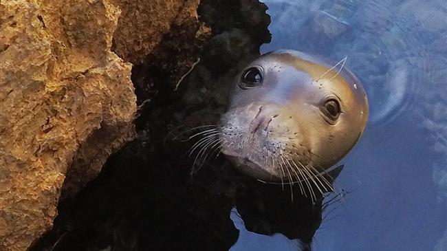 Κ. Χατζηδάκης σε Ζ. Μακρή: «Δίκαιο το αίτημα των επαγγελματιών αλιέων για τα τέλη εισόδου στο Θαλάσσιο Πάρκο»