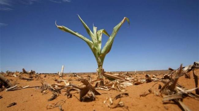 Σύνοδος κορυφής των Ηνωμένων Εθνών για τη βιοποικιλότητα