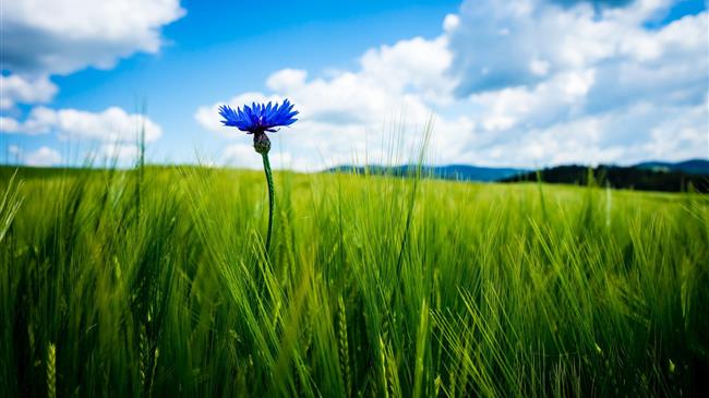 Παράταση προθεσμίας για την υποβολή στοιχείων συμβολαιακής γεωργίας