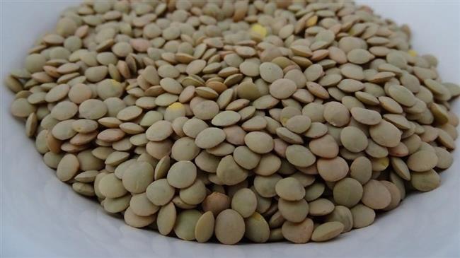 Θα επανακάμψει η παγκόσμια παραγωγή φακής