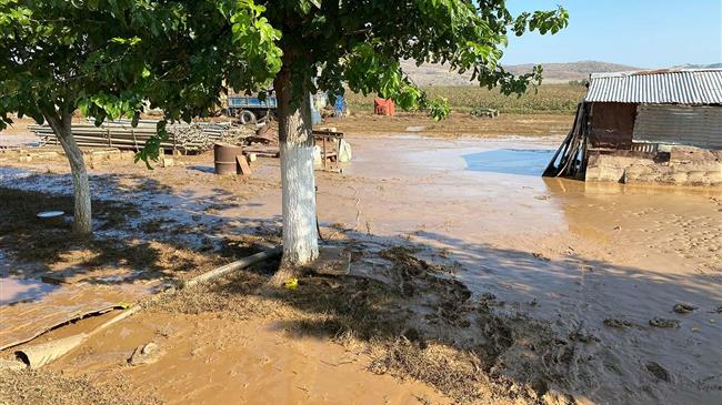 Μ. Εσκίογλου: Καταστροφές σε 1.000 σπίτια και 150.000 στρέμματα στα Φάρσαλα