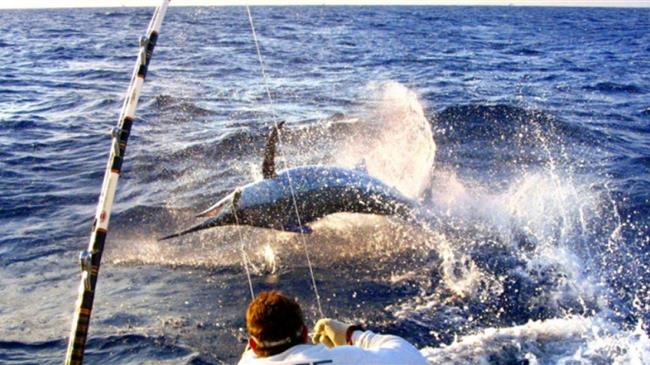 Πελοπόννησος: Εξέταση των δυνατοτήτων για ανάπτυξη του αλιευτικού τουρισμού