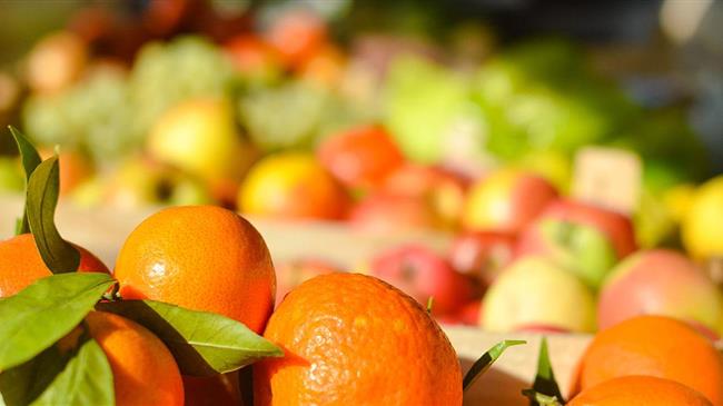 Incofruit Hellas: Βουτιά στις εξαγωγές των οπωροκηπευτικών -Πώς θα παραμείνει βιώσιμος ο κλάδος