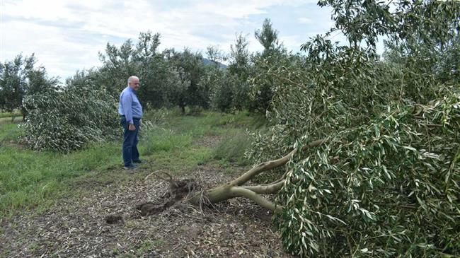 Τριαντόπουλος: Το 100% των φακέλων της Μαγνησίας που επλήγησαν από τον «Ιανό» έχει αποζημιωθεί