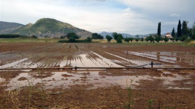 ΠΑΣΟΚ-ΚΙΝΑΛ: Η κυβέρνηση "τιμωρεί" τους αγρότες με περικοπές αποζημιώσεων ΕΛΓΑ