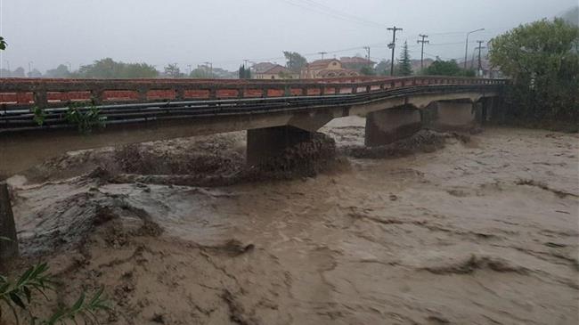 Θεσσαλία: Θρήνος για τους αγρότες, έχασαν τη συγκομιδή