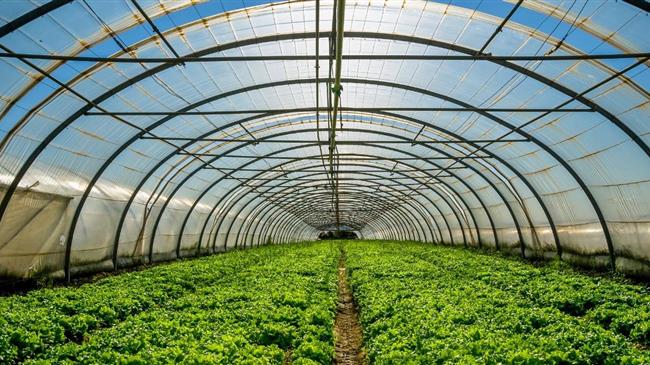 Βελόπουλος: Εξαιρέσεις αποζημιώσεων θερμοκηπιακών καλλιεργειών Ιεράπετρας