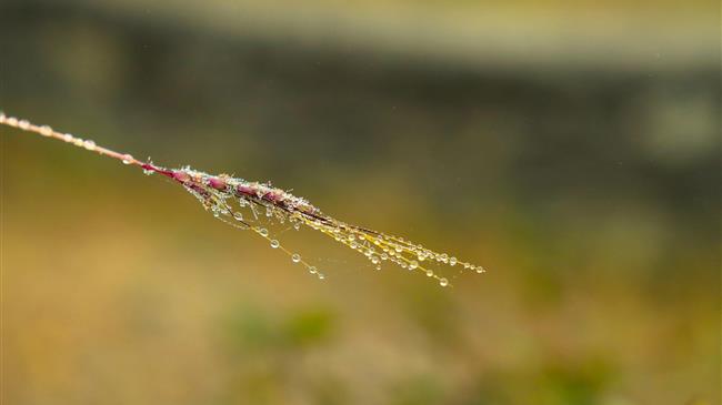 Ποια είναι η αξία της αγροτικής παραγωγής