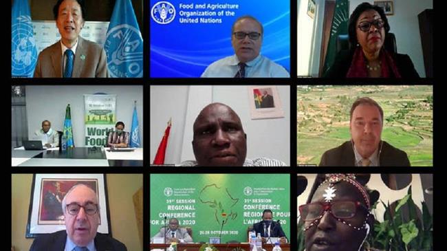 FAO’s Hand-in-Hand initiative can help end hunger and poverty in Africa