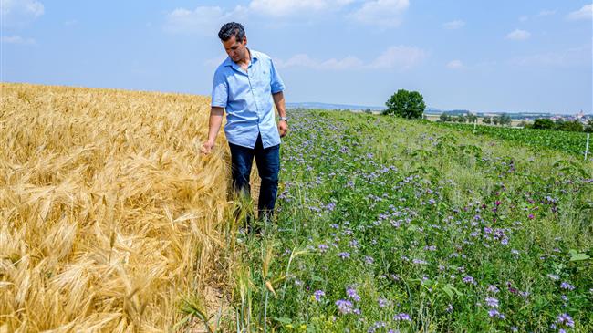 5 ways social entrepreneurs are helping farmers feed the world