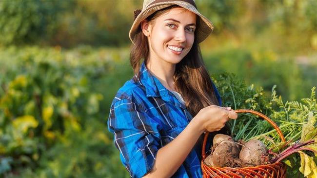 Ημερίδα: Αγροδιατροφή στην Περιφέρεια Δυτικής Ελλάδας