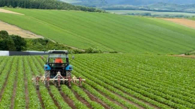 Οι αγρότες και οι κηπουροί χαιρετίζουν την αγροοικολογία ως το μέλλον της γεωργίας