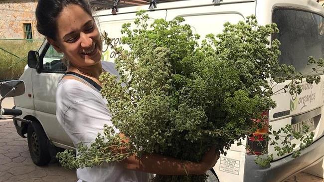 Ελληνίδα αγρότισσα από τη Χίο στις Μαλδίβες