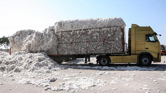 ΠΕΕΕΒ: Τήρηση μέτρων προστασίας λόγω κορονοϊού κατά την περίοδο της συγκομιδής βάμβακος
