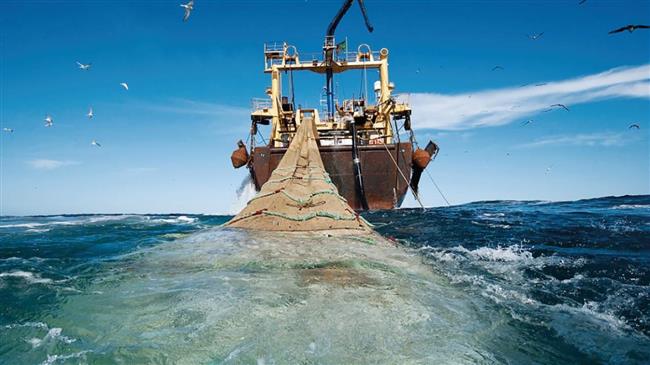 Επιδότηση 5.750.000 ευρώ για την απόσυρση της βιντζότρατας