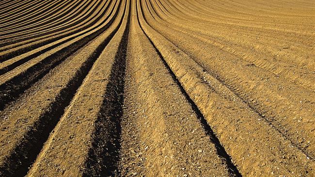 Σε 2,5 δισ. ευρώ οι πιστώσεις για την πράσινη μετάβαση των αγροτών