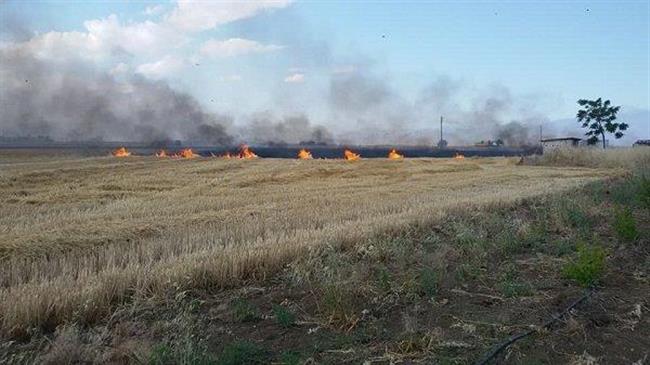 Ανδ. Πάτσης: Για την καύση φυτικών υπολειμμάτων