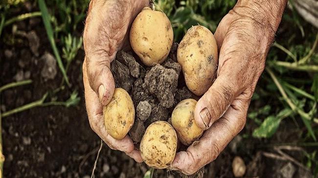 29η Agrotica: Μέσω πλατφόρμας η επιδότηση των 60 εκατ. ευρώ σε Έλληνες κτηνοτρόφους για την αγορά λιπασμάτων