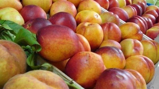 Καταγγελία του Αγροτικού Συλλόγου περιοχής Αμυνταίου για τη διακίνηση των επιτραπέζιων ροδάκινων και νεκταρινιών