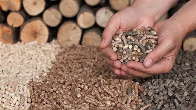 Ξύλο ή πέλετ; Ποια είναι η κατάλληλη επιλογή για καύσιμη ύλη;