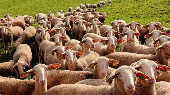 Αυξάνεται στα 256,9 εκατ. ευρώ ο προϋπολογισμός της εξισωτικής αποζημίωσης για το 2020